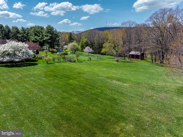 view of yard with a rural view