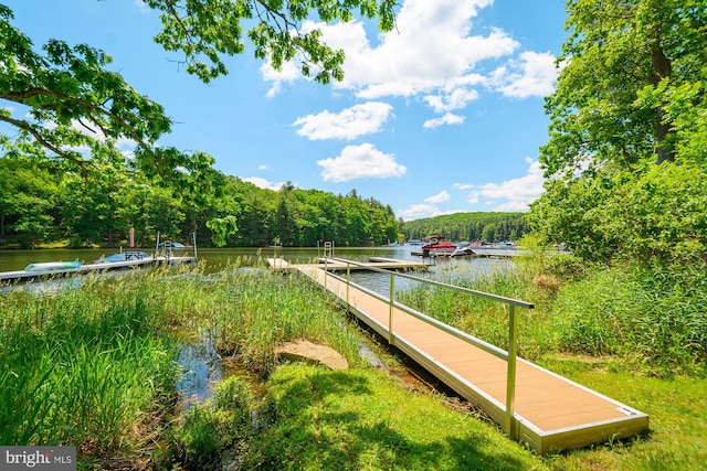 surrounding community with a water view and a boat dock