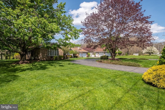 view of yard with a garage