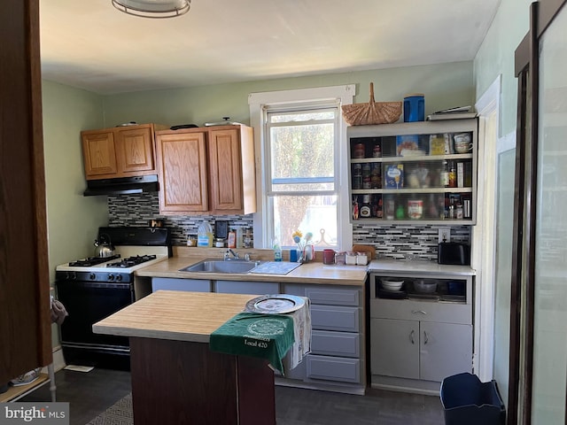 kitchen featuring sink, white gas range oven, and tasteful backsplash