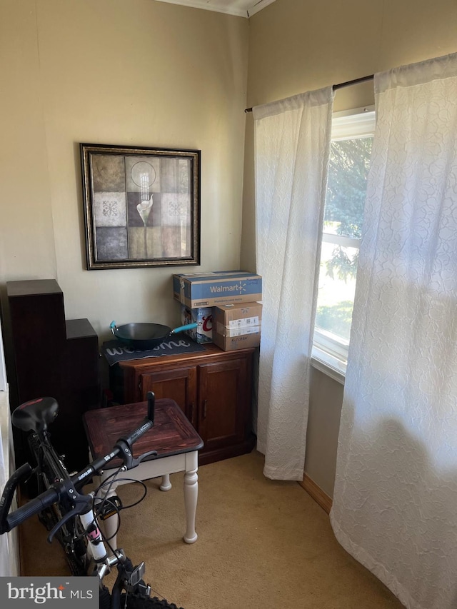 view of carpeted home office