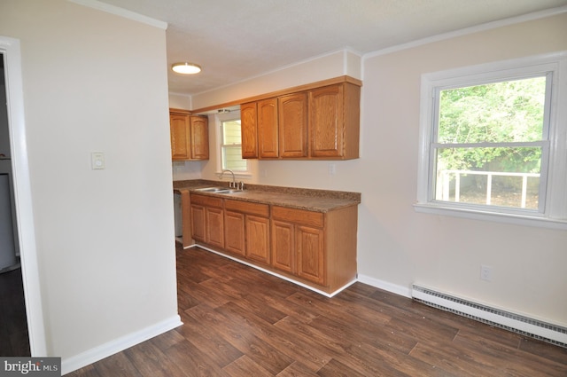 kitchen featuring dark hardwood / wood-style floors, sink, ornamental molding, and baseboard heating