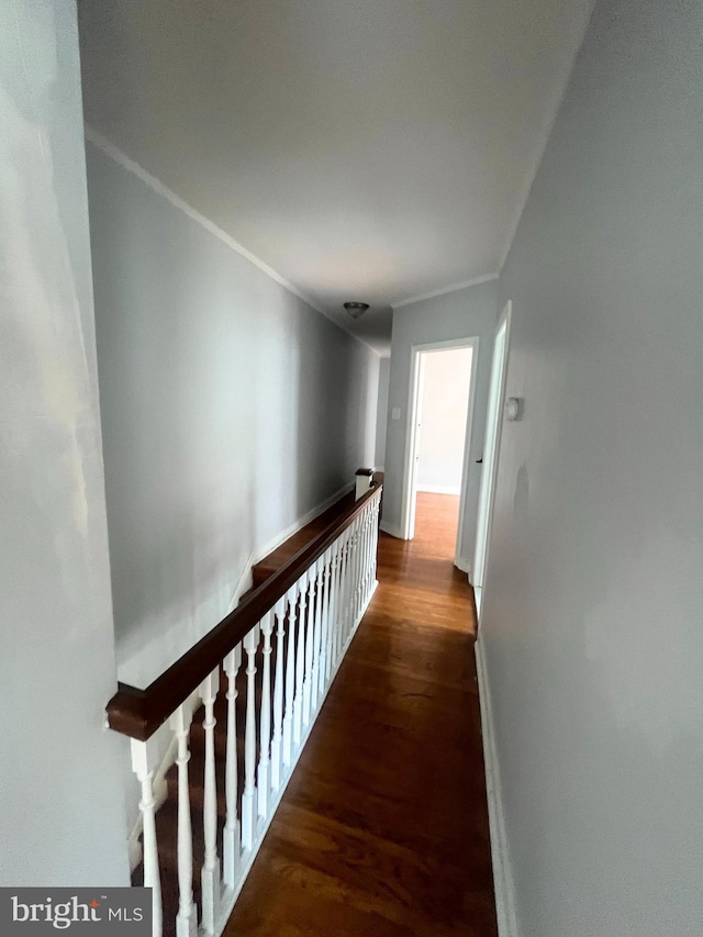 hall featuring dark hardwood / wood-style flooring