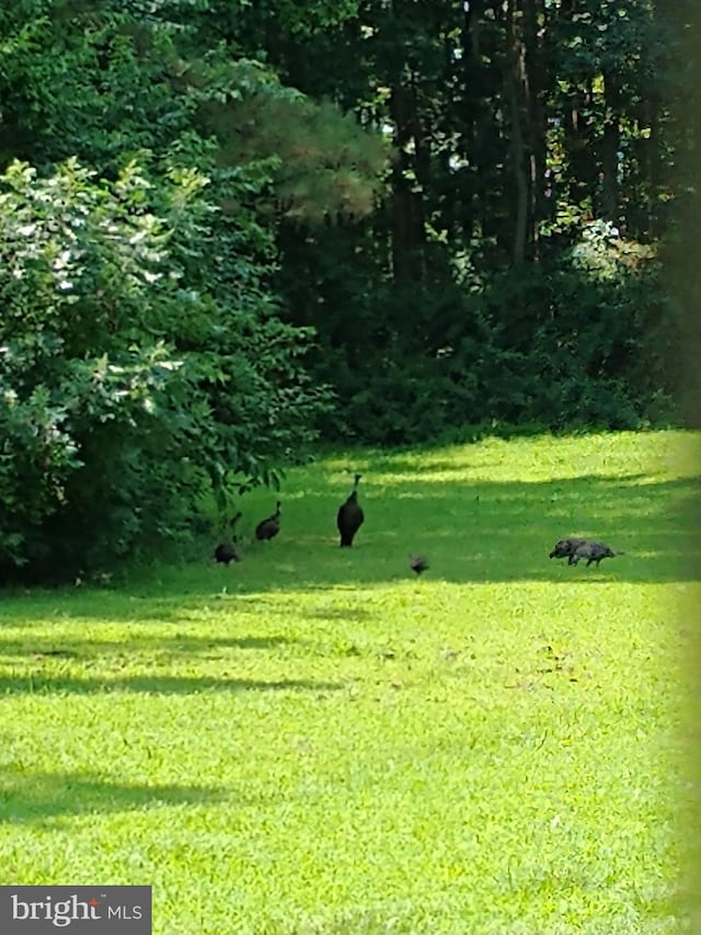 view of property's community featuring a lawn