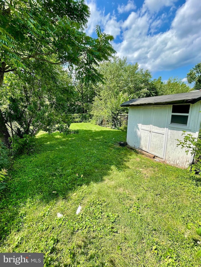 view of yard featuring a shed