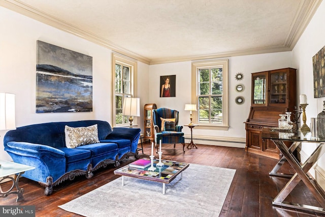 living room featuring ornamental molding, dark hardwood / wood-style floors, and a baseboard heating unit