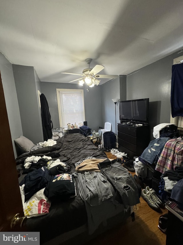 bedroom with ceiling fan