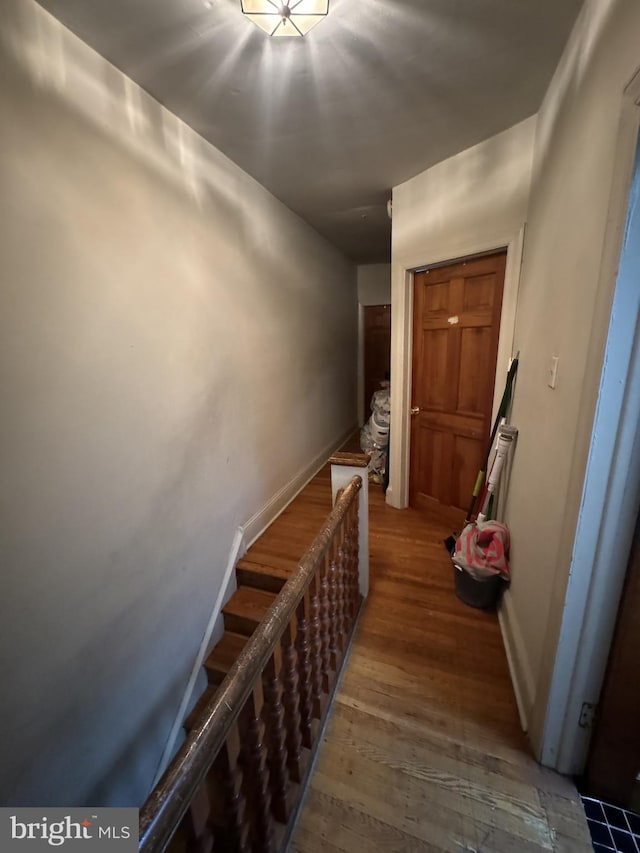 hallway with wood-type flooring