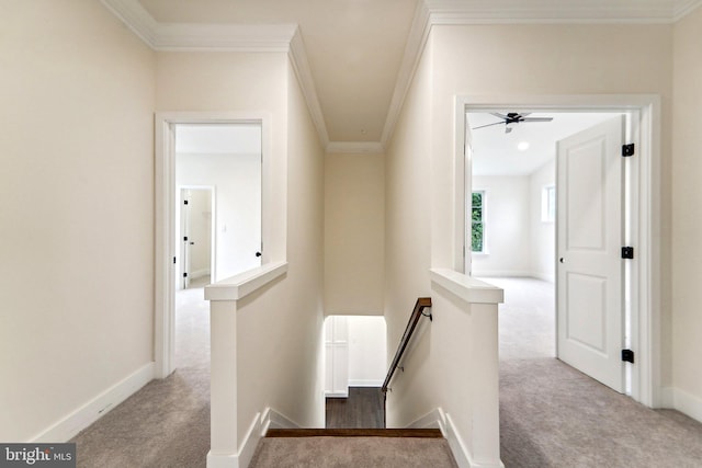 hallway featuring light colored carpet and ornamental molding