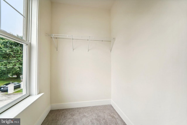 spacious closet with light colored carpet