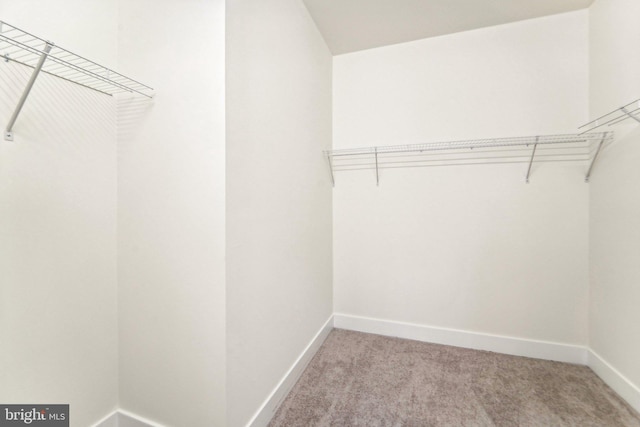 walk in closet with light carpet