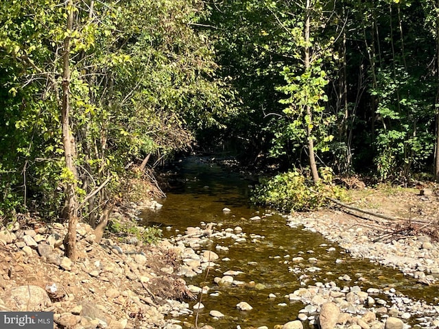 view of local wilderness