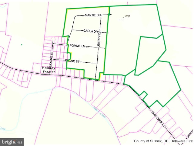 Gum Tree Rd, Dagsboro DE, 19939 land for sale