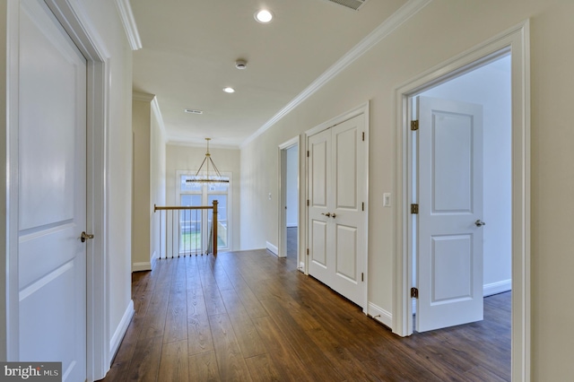 hall with an inviting chandelier, crown molding, and dark hardwood / wood-style flooring