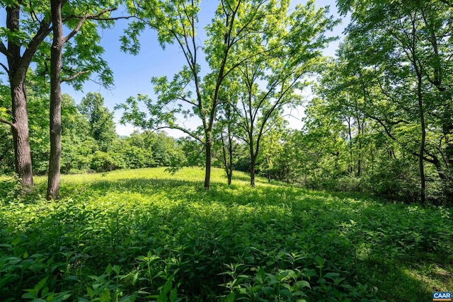 view of landscape