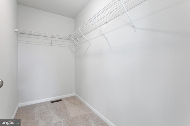 spacious closet with carpet