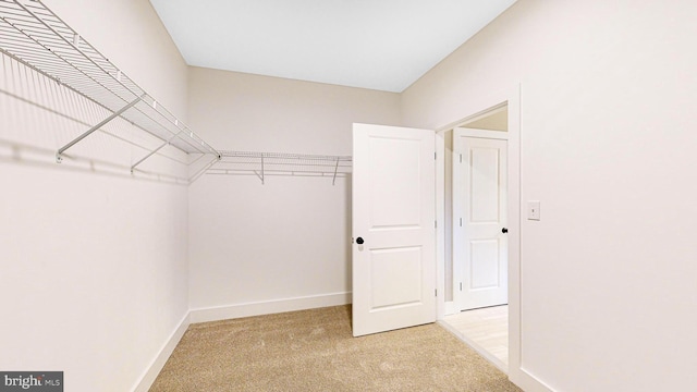 walk in closet with light colored carpet