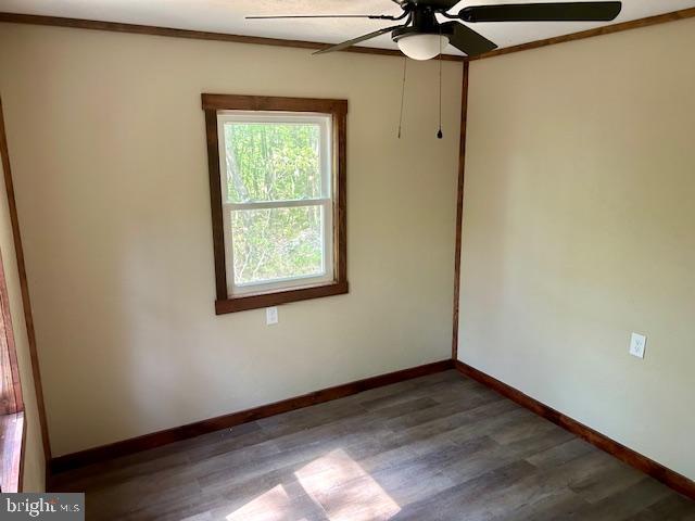 unfurnished room with ceiling fan, dark hardwood / wood-style flooring, and crown molding