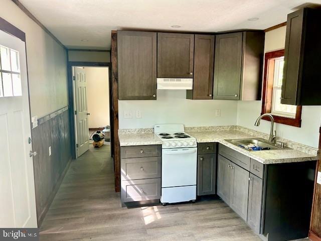 kitchen with dark brown cabinets, light hardwood / wood-style floors, white range oven, and sink