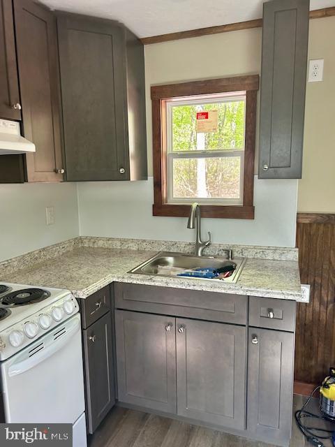 kitchen featuring white range, sink, hardwood / wood-style flooring, dark brown cabinets, and extractor fan