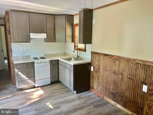 kitchen featuring white range, light hardwood / wood-style flooring, and sink