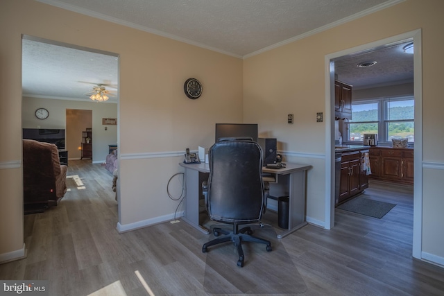 office with a textured ceiling, light hardwood / wood-style flooring, and crown molding