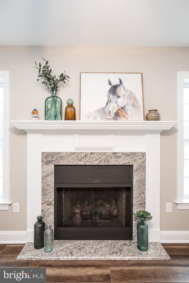 interior details featuring a fireplace and hardwood / wood-style flooring