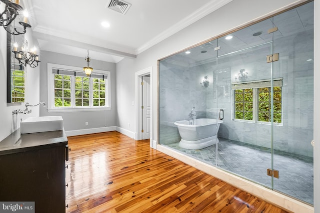 bathroom featuring vanity, a healthy amount of sunlight, and wood-type flooring