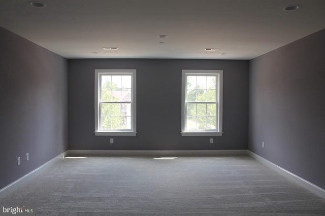 spare room with carpet flooring and a wealth of natural light