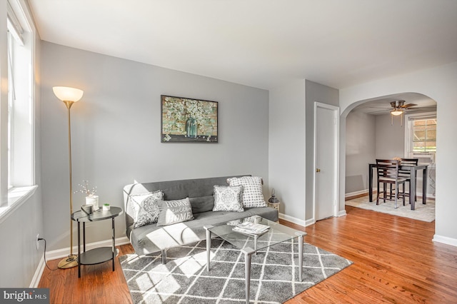 living room with ceiling fan and wood-type flooring