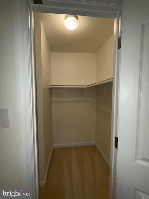 walk in closet with light carpet