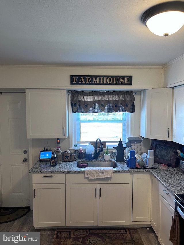 kitchen featuring white cabinetry, light stone countertops, dark wood-type flooring, and sink