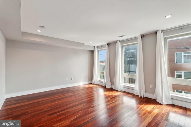 empty room featuring wood-type flooring