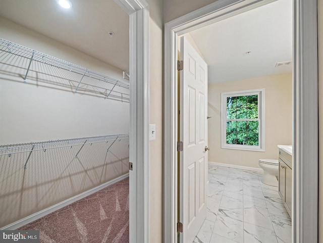 interior space featuring vanity and toilet