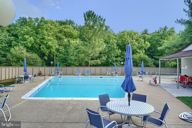 view of pool with a patio