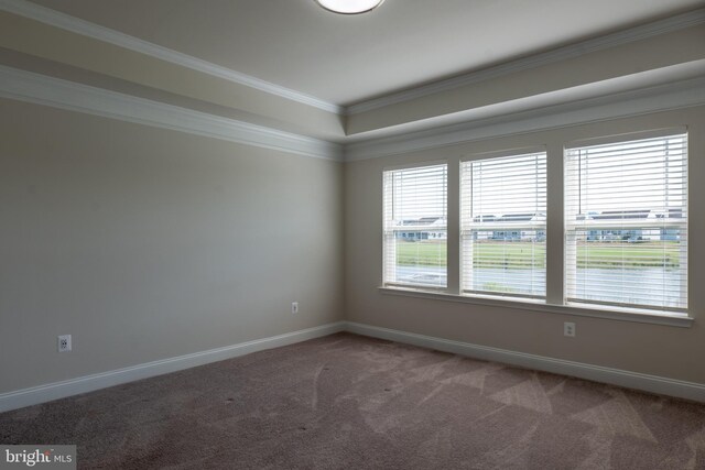 unfurnished room with ornamental molding and carpet flooring