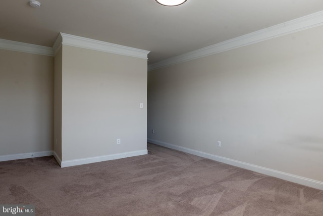 unfurnished room with carpet floors and ornamental molding