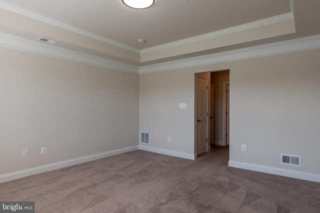 spare room with carpet flooring, a raised ceiling, and crown molding