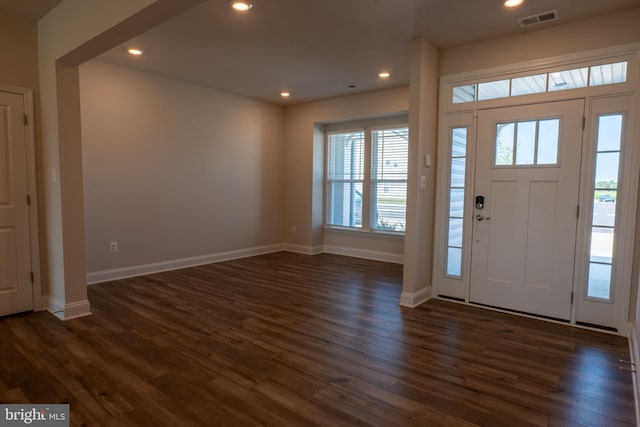 foyer entrance featuring dark hardwood / wood-style floors and a wealth of natural light