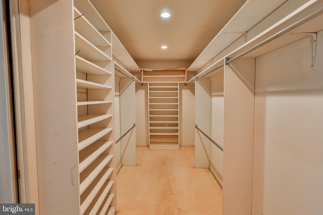 view of walk in closet