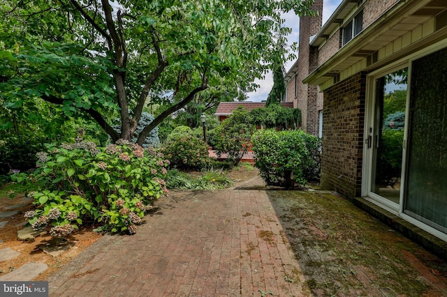 view of yard featuring a patio