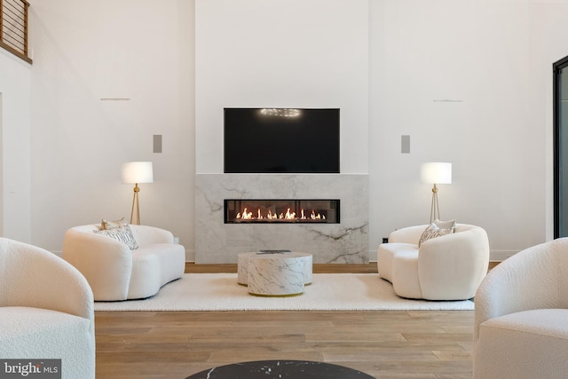 living room with a high end fireplace and wood-type flooring