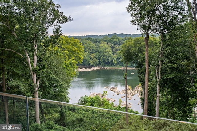 view of water feature