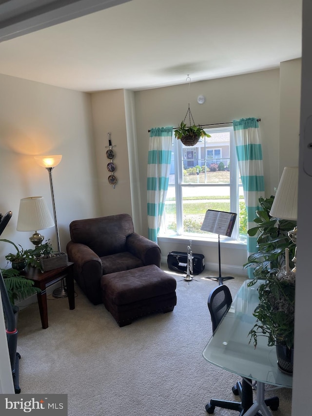 living room featuring carpet floors