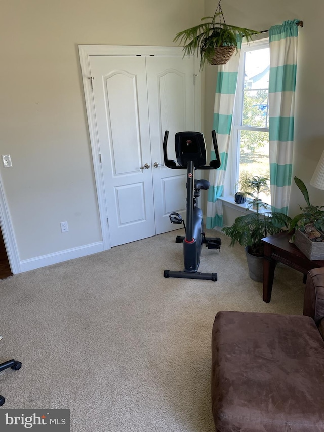 exercise area with carpet floors