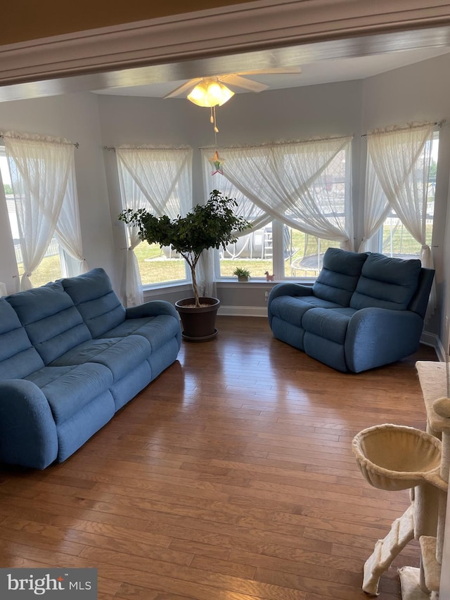 living room with ceiling fan and hardwood / wood-style flooring