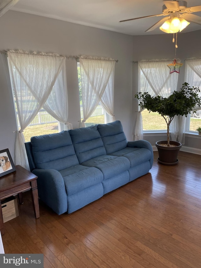 living room with ceiling fan and hardwood / wood-style floors