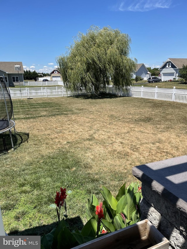 view of yard featuring a trampoline