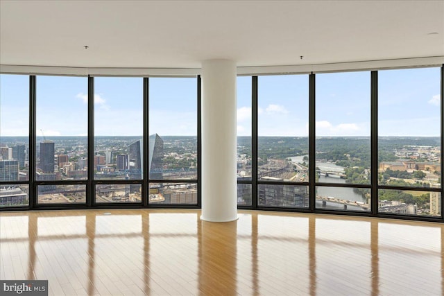 spare room featuring floor to ceiling windows, plenty of natural light, and light hardwood / wood-style floors