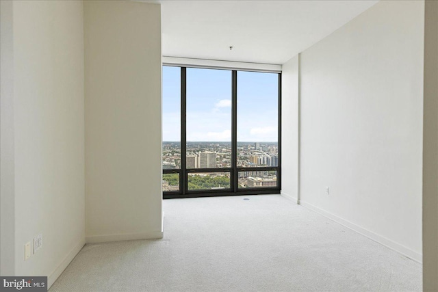 carpeted spare room with a wall of windows